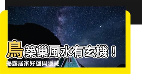 家有鳥築巢|鳥巢風水：居家好運密碼